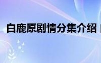 白鹿原剧情分集介绍 白鹿原1-5集分集介绍