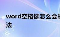 word空格键怎么会删除字呢（教你简单的方法