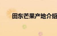 田东芒果产地介绍 芒果成熟正当时）