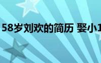 58岁刘欢的简历 娶小16岁娇妻12次登上春晚