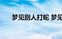 梦见别人打蛇 梦见别人打蛇寓意什么