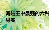 海贼王中最强的六种形态 海贼王新的幻兽种果实