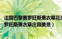 法国巴黎普罗旺斯薰衣草花海 世界浪漫圣地爱情圣地法国普罗旺斯薰衣草庄园美景）
