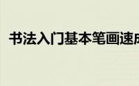 书法入门基本笔画速成 必备技能书法入门）
