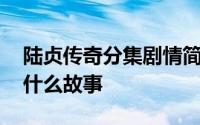 陆贞传奇分集剧情简介 这部剧主要讲述的是什么故事