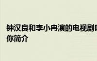 钟汉良和李小冉演的电视剧叫什么名字 电视剧来不及说我爱你简介