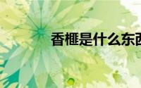 香榧是什么东西（香榧的介绍