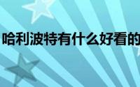 哈利波特有什么好看的电影 8部哈利波特电影