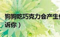 狗狗吃巧克力会产生什么后果呢（别怪我没告诉你）