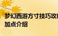 梦幻西游方寸技巧攻略（梦幻西游互通版方寸加点介绍