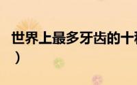 世界上最多牙齿的十种动物（牙齿最多的动物）