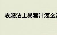 衣服沾上桑葚汁怎么洗（桑葚怎么洗干净）