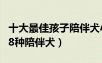 十大最佳孩子陪伴犬小型犬（国内呆萌可爱的8种陪伴犬）