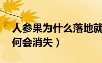 人参果为什么落地就不见了 人参果掉地上为何会消失）