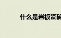 什么是岩板瓷砖（什么是岩板）