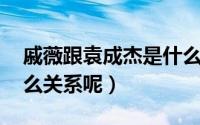 戚薇跟袁成杰是什么组合 戚薇和袁成杰是什么关系呢）