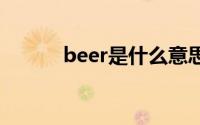 beer是什么意思中文 beer解释