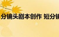 分镜头剧本创作 短分镜头剧本参考格式大全）