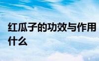 红瓜子的功效与作用（红瓜子的功效与作用是什么