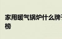 家用暖气锅炉什么牌子好（暖气锅炉品牌排行榜