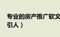 专业的房产推广软文 房地产软文推广怎么吸引人）