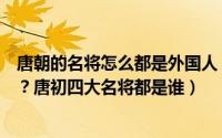 唐朝的名将怎么都是外国人（唐朝十大名将为什么没有秦琼？唐初四大名将都是谁）