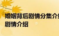 婚姻背后剧情分集介绍 电视剧婚姻背后1-5集剧情介绍