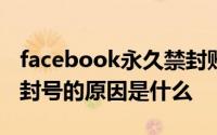 facebook永久禁封账号能解封吗 Facebook封号的原因是什么