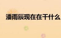 潘雨辰现在在干什么 潘雨辰个人资料介绍