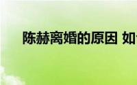 陈赫离婚的原因 如今的宠妻狂魔陈赫）