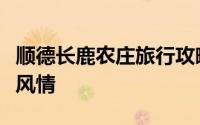 顺德长鹿农庄旅行攻略（亲子游首选岭南农家风情