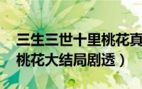 三生三世十里桃花真正大结局 三生三世十里桃花大结局剧透）