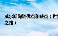 威尔斯陶瓷优点和缺点（世界标准日威尔斯陶瓷标准化引领之路）