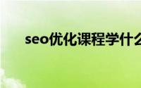 seo优化课程学什么 5分钟网销私房课