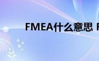FMEA什么意思 FMEA的含义介绍