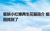 狐妖小红娘两生花篇简介 狐妖小红娘两生花篇剧情混乱的原因找到了