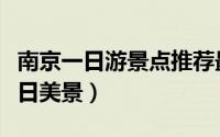 南京一日游景点推荐最全攻略（拥抱南京的春日美景）