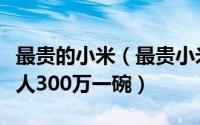 最贵的小米（最贵小米粥多少一碗：吾乡新农人300万一碗）