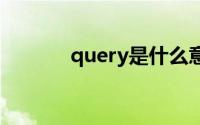 query是什么意思 query解释