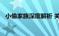 小偷家族深度解析 关于小偷家族结局简介