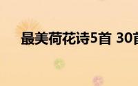 最美荷花诗5首 30首荷花诗词荷风莲香