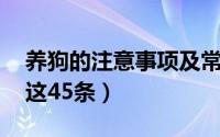 养狗的注意事项及常识 养狗讲究多宠主牢记这45条）