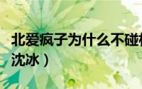 北爱疯子为什么不碰林夏（北爱都知道疯子爱沈冰）