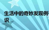 生活中的奇妙发现例子 生活中3个奇妙的小知识