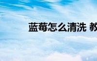 蓝莓怎么清洗 教你几个清洗方法