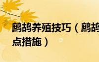 鹧鸪养殖技巧（鹧鸪养殖鹧鸪饲养管理的12点措施）
