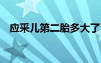 应采儿第二胎多大了 应采儿二胎又是男宝