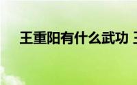 王重阳有什么武功 王重阳的了不起之处