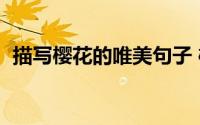 描写樱花的唯美句子 樱花的优美句子集锦）