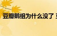 豆瓣鹅组为什么没了 豆瓣鹅组被停用两个月